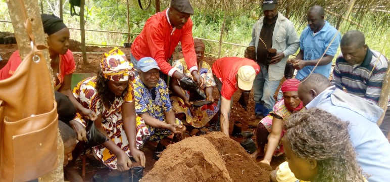 Community mobilisation for the raising of 10000 seedlings of Mondia whitei in Babadjou